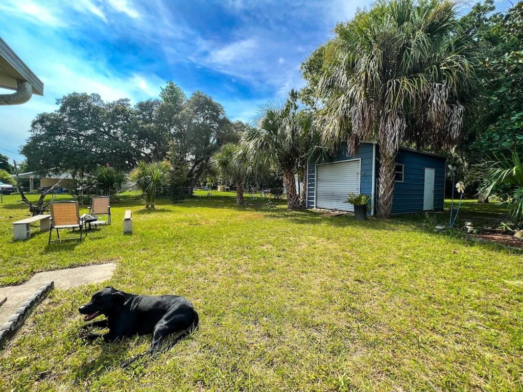 House Of Shells, Beautiful Garden, Fenced Yard, Dog Friendly, Fire Pit! Villa Crystal River Luaran gambar