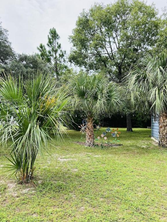 House Of Shells, Beautiful Garden, Fenced Yard, Dog Friendly, Fire Pit! Villa Crystal River Luaran gambar